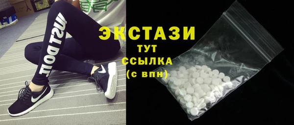 СК Алексин