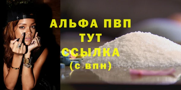 СК Алексин